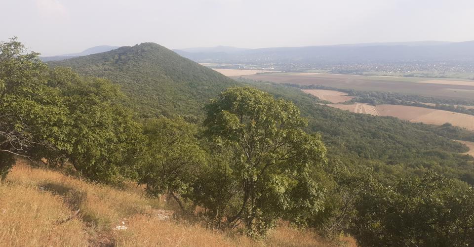 Hosszú hegy